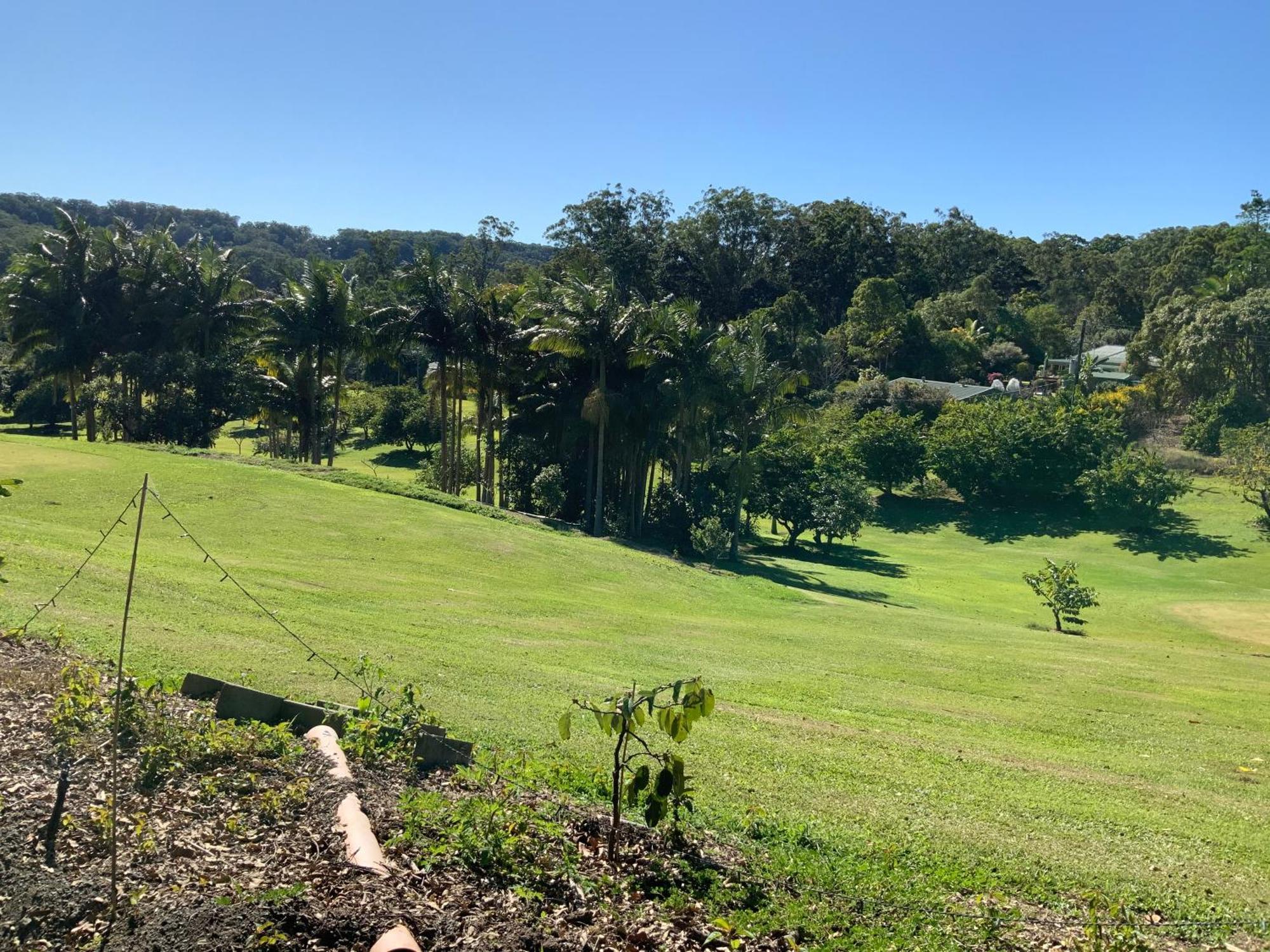 Sunshine Coast Retreat Your Own Private Golf Course Diddillibah Εξωτερικό φωτογραφία