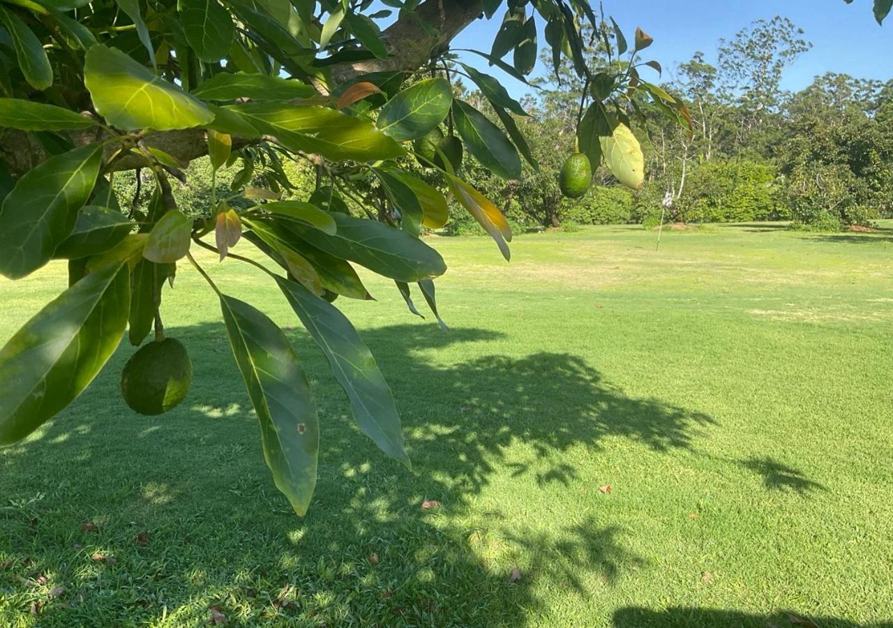 Sunshine Coast Retreat Your Own Private Golf Course Diddillibah Εξωτερικό φωτογραφία