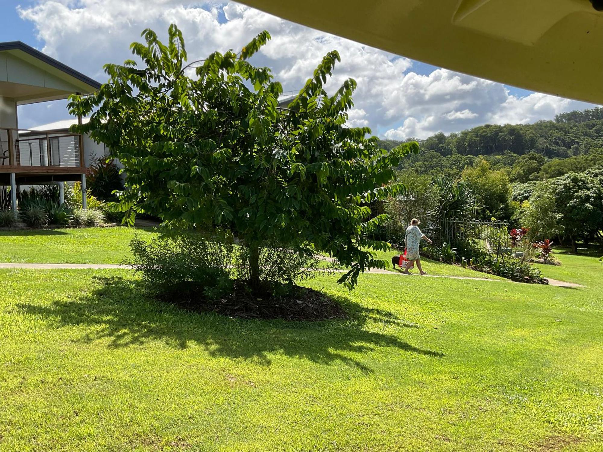 Sunshine Coast Retreat Your Own Private Golf Course Diddillibah Εξωτερικό φωτογραφία
